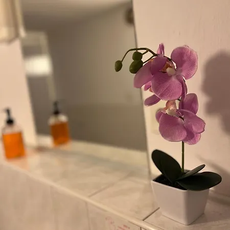 Baroko Penzion 3*